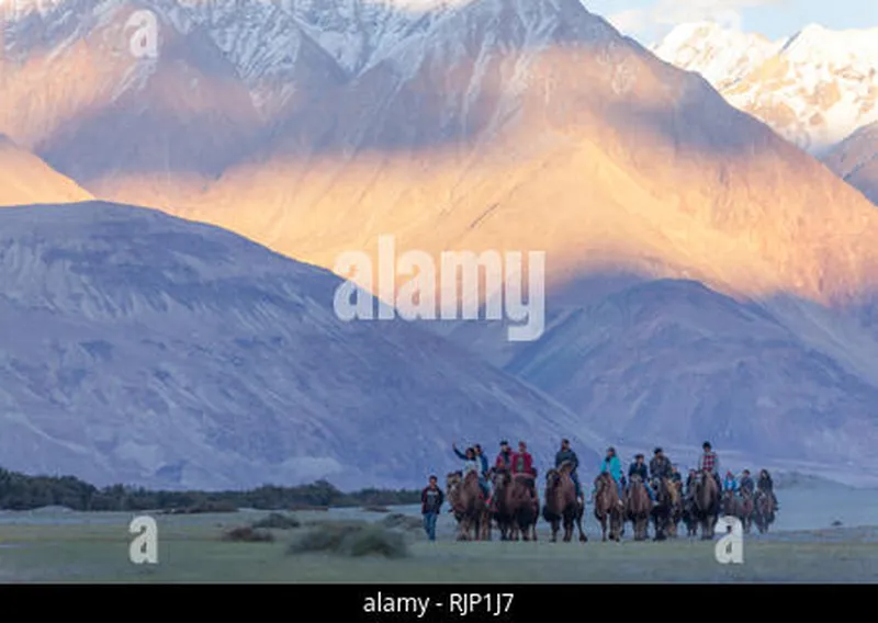 Image Nubra Valley - Sand Dunes and Bactrian Camels image beautiful image beautiful image beautiful image beautiful - Tourists ride camels in the snow-covered Gobi desert in the ...