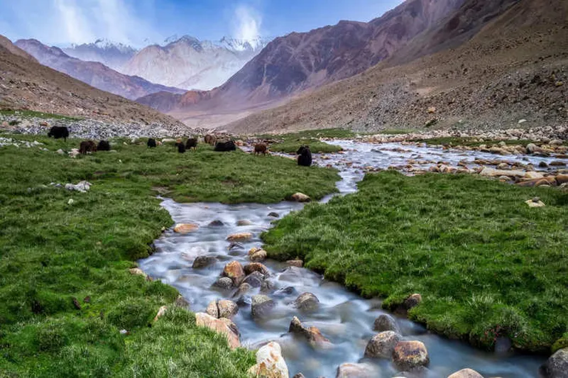 Image Nubra Valley - Sand Dunes and Bactrian Camels image beautiful image beautiful image beautiful image beautiful image beautiful image beautiful - Nubra Valley – an incredibly beautiful cold desert | Times of ...