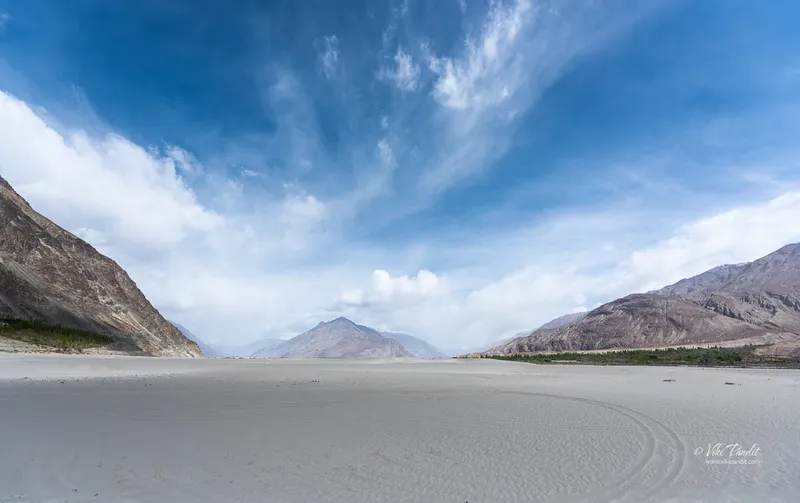 Image Nubra Valley - Sand Dunes and Bactrian Camels image beautiful image beautiful image beautiful image beautiful image beautiful image beautiful image beautiful - Desert Archives - Viki Pandit