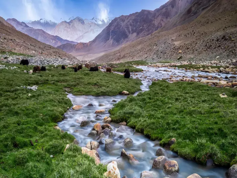 Image Nubra Valley - Sand Dunes and Bactrian Camels image beautiful image beautiful image beautiful image beautiful image beautiful image beautiful image beautiful - Nubra Valley – an incredibly beautiful cold desert | Times of ...