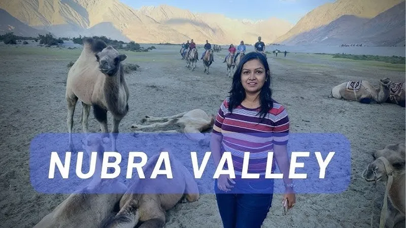 Image Nubra Valley - Sand Dunes and Bactrian Camels image beautiful image beautiful image beautiful image beautiful image beautiful image beautiful image beautiful image beautiful - Exploring the Beauty of Nubra Valley, Ladakh #nubravalley ...