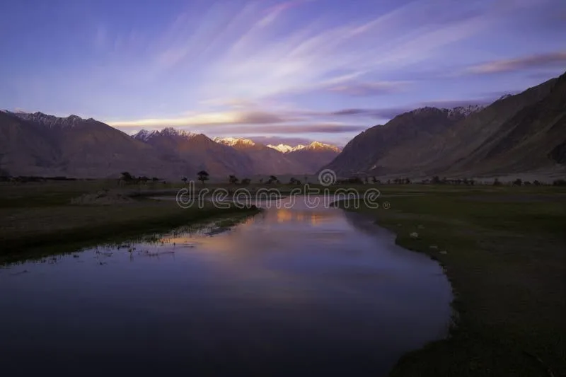 Image Nubra Valley - Sand Dunes and Bactrian Camels image beautiful image beautiful image beautiful image beautiful image beautiful image beautiful image beautiful image beautiful - 3,383 Mountain Nubra Stock Photos - Free & Royalty-Free Stock ...