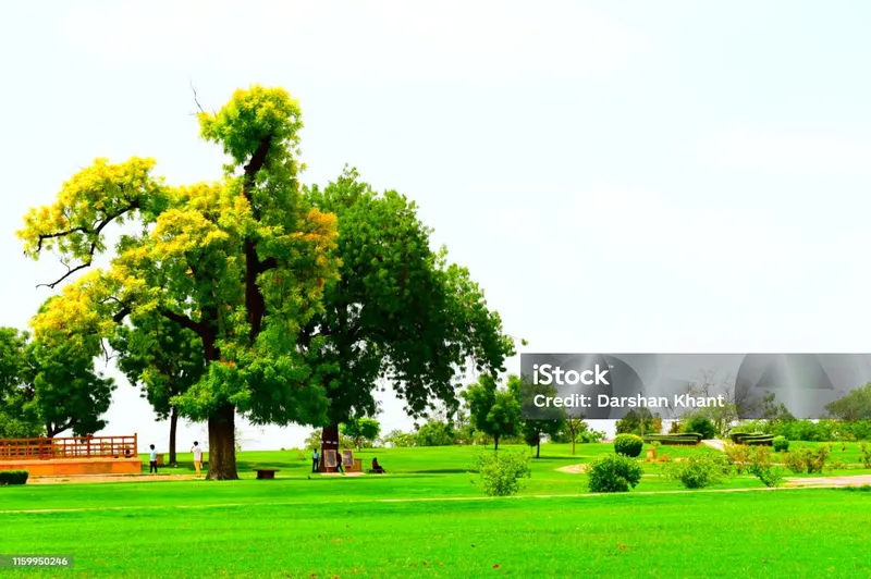 Image Patan - Rani ki Vav image beautiful image beautiful image beautiful image beautiful - Beautiful Green Garden And Trees At The World Heritage Site Rani ...