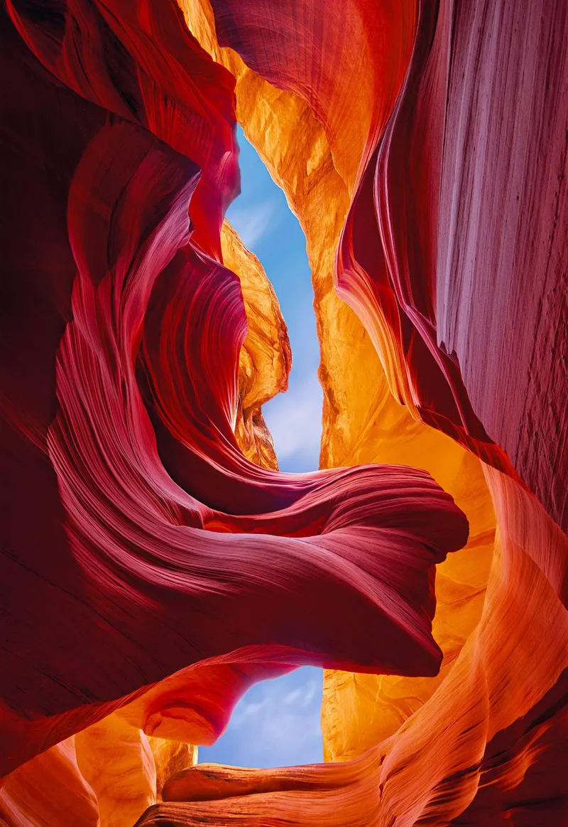 Image Peter image beautiful - Peter Lik Eternal Beauty | LIK Fine Art