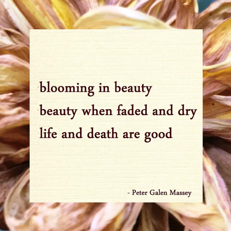 Image Peter image beautiful image beautiful image beautiful image beautiful image beautiful image beautiful - Haiku Poem | “blooming in beauty” | Peter Galen Massey