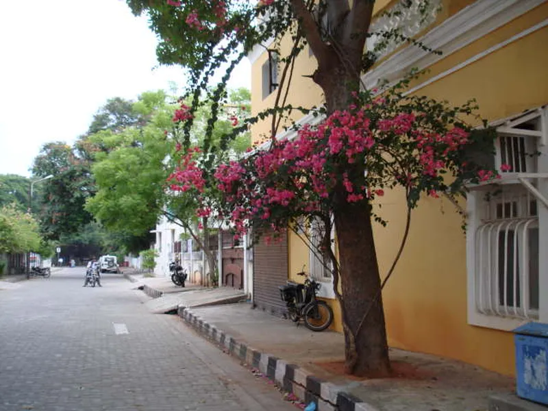 Image Pondicherry - French Colonial Town image beautiful image beautiful image beautiful image beautiful image beautiful image beautiful image beautiful image beautiful - Sri Aurobindo Ashram | Fabulous in Hanoi!