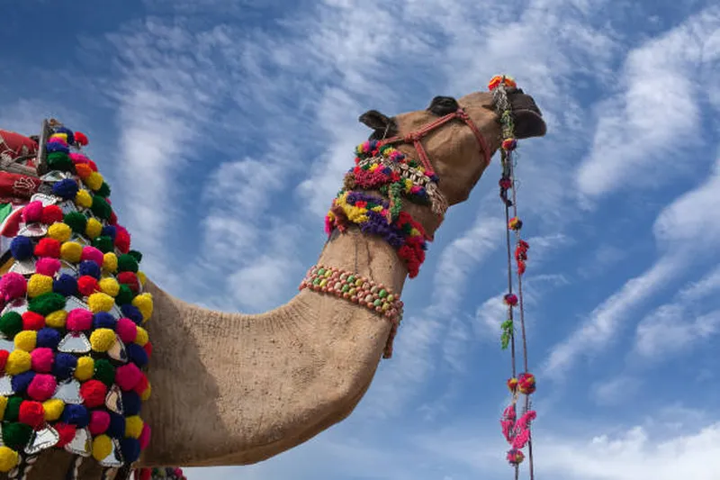 Image Pushkar - Sacred Lake image beautiful image beautiful image beautiful image beautiful image beautiful - 10,700+ Pushkar Stock Photos, Pictures & Royalty-Free Images ...