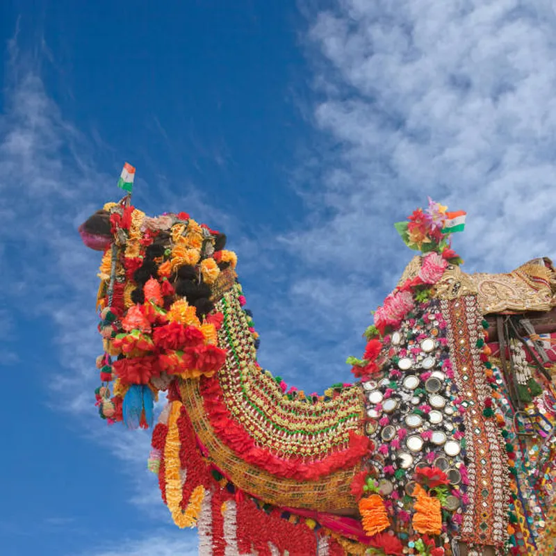 Image Pushkar - Sacred Lake image beautiful image beautiful image beautiful image beautiful image beautiful image beautiful - 10,700+ Pushkar Stock Photos, Pictures & Royalty-Free Images ...