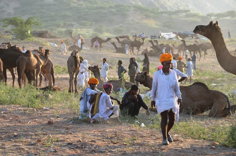 Image Pushkar - Sacred Lake image beautiful image beautiful image beautiful image beautiful image beautiful image beautiful image beautiful image beautiful image beautiful image beautiful - Pushkar: Holy Lake and Camel Fair – Life With Janet