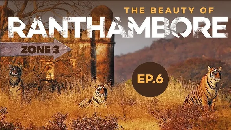 Image Ranthambore National Park - Wildlife Sanctuary image beautiful - The Beauty of Ranthambore Zone No 3 | Most Beautiful National Park ...