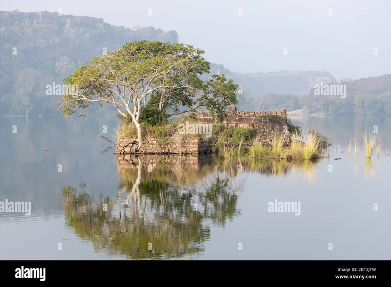 Image Ranthambore National Park - Wildlife Sanctuary image beautiful image beautiful image beautiful - India jungle landscape hi-res stock photography and images - Alamy