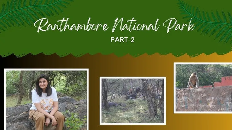 Image Ranthambore - Safari Experience image beautiful - Ranthambore National Park: Part 1|| Morning Safari experience in ...