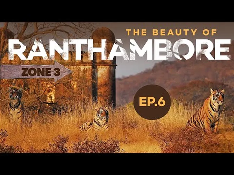 Image Ranthambore - Safari Experience image beautiful image beautiful image beautiful - The Beauty of Ranthambore Zone No 3 | Most Beautiful National Park ...