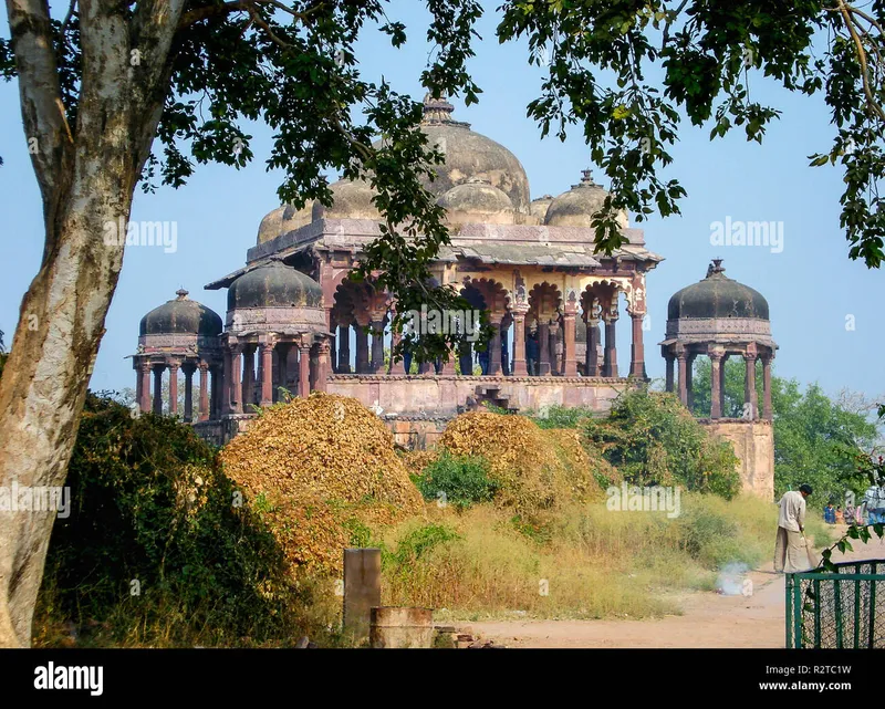 Image Ranthambore - Safari Experience image beautiful image beautiful image beautiful - Battis khamba hi-res stock photography and images - Alamy