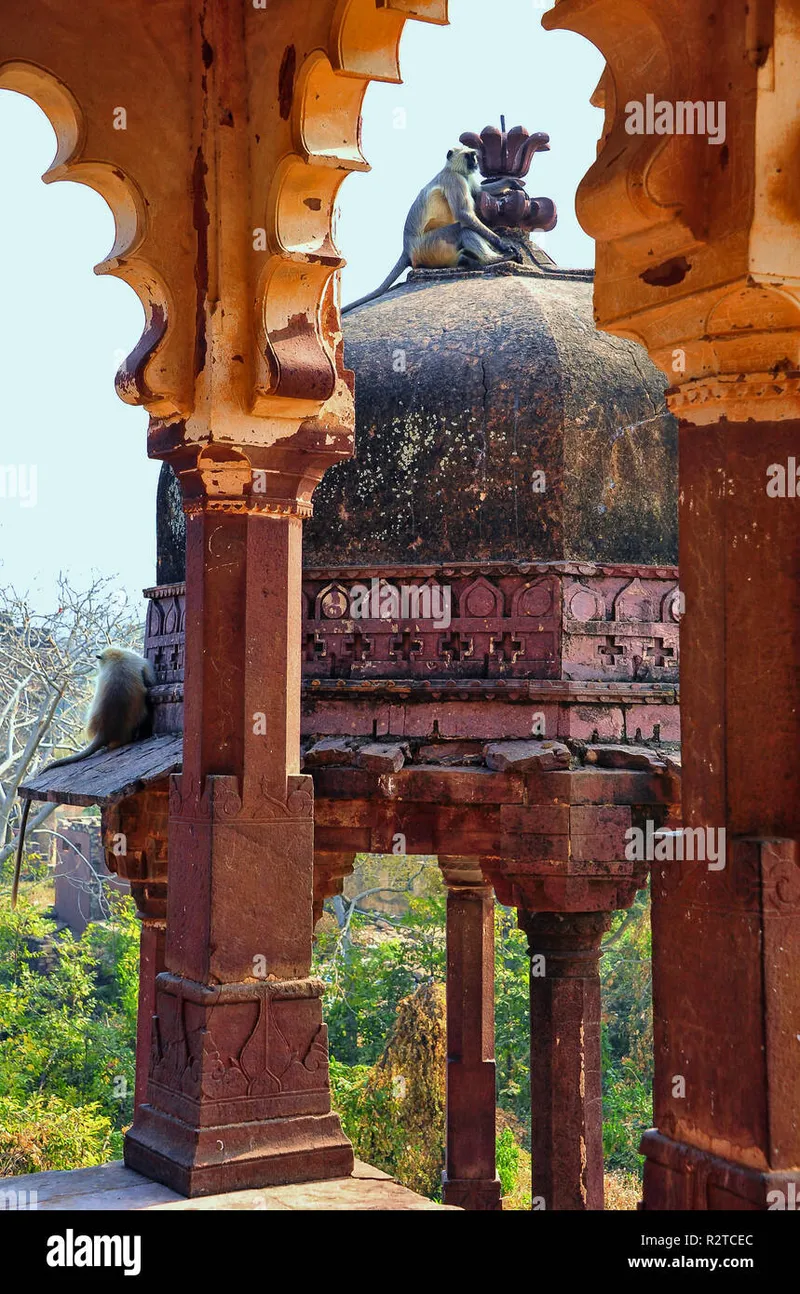 Image Ranthambore - Safari Experience image beautiful image beautiful image beautiful image beautiful image beautiful - Battis Khamba Chhatri (32 Pillared Umbrella) temple, Ranthambore ...