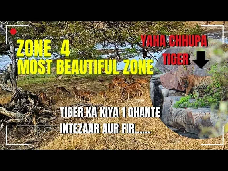 Image Sariska National Park - Tiger Reserve image beautiful image beautiful image beautiful image beautiful image beautiful - Ranthambore Zone 4 evening safari full tour | Most beautiful Zone ...