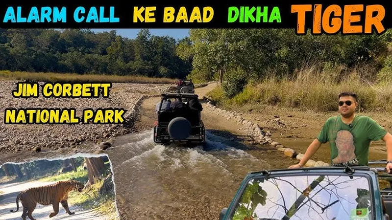 Image Sariska National Park - Tiger Reserve image beautiful image beautiful image beautiful image beautiful image beautiful image beautiful image beautiful - Alarm Call Ke Baad Tiger Dikha - Uncut Video - Jim Corbett ...