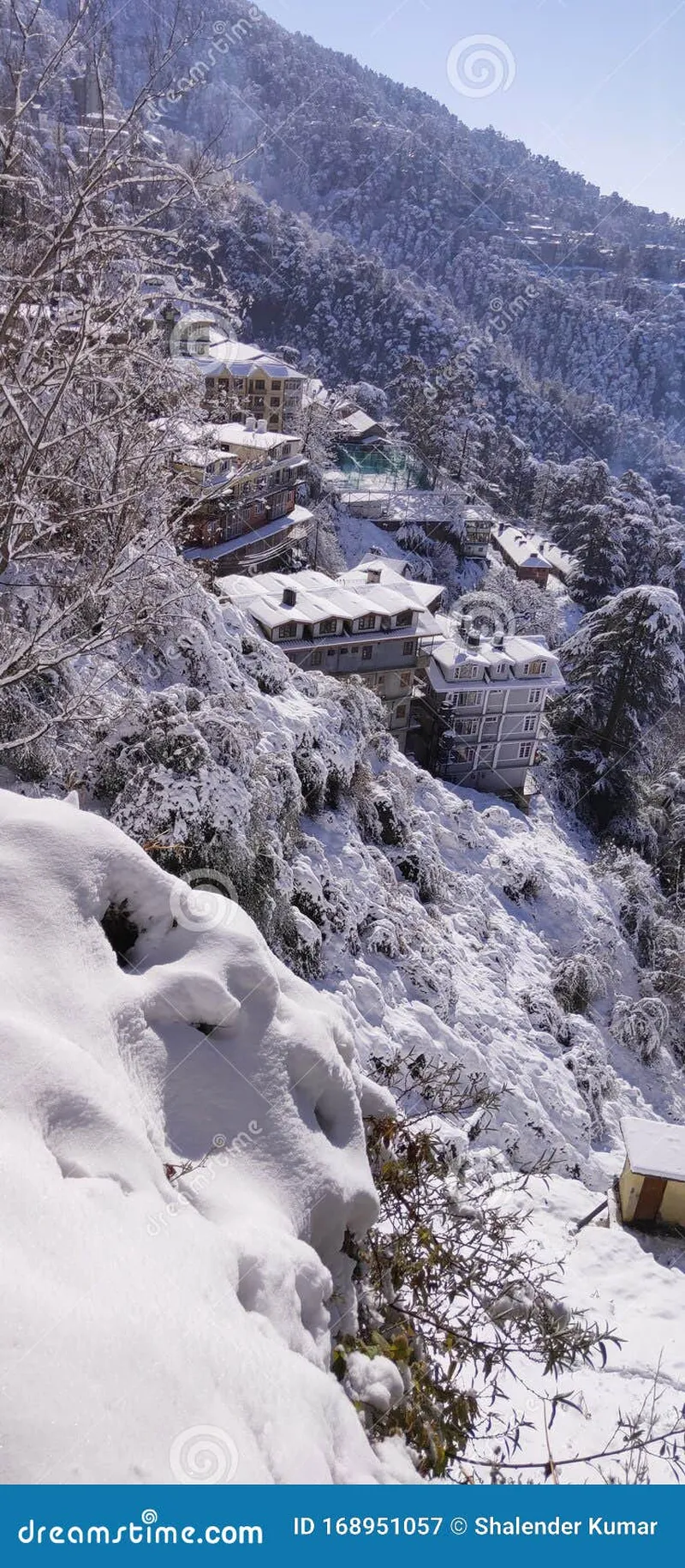 Image Shimla - Summer Capital image beautiful image beautiful image beautiful image beautiful image beautiful - Beautiful View of Shimla City after a Snowfall Stock Image - Image ...