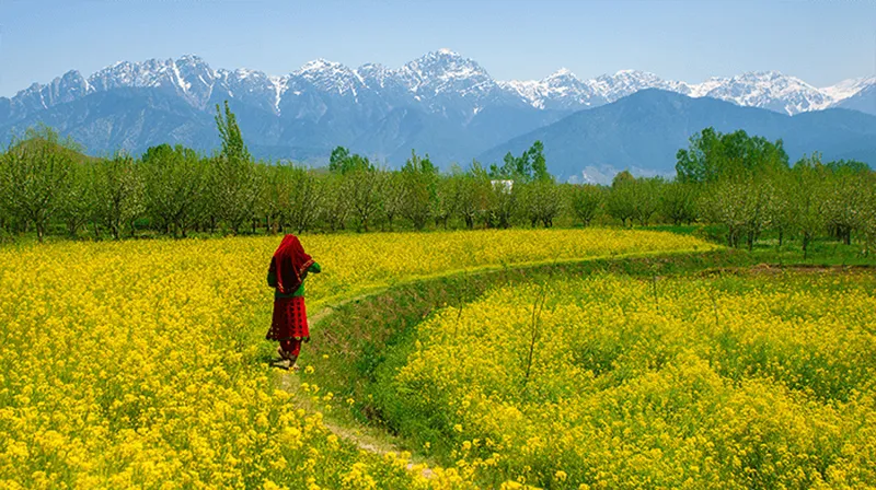 Image Sikkim - Land of Monasteries image beautiful image beautiful image beautiful image beautiful image beautiful image beautiful image beautiful - Hidden Treasures of India's Eastern Himalayas: Wonderous Wildlife ...