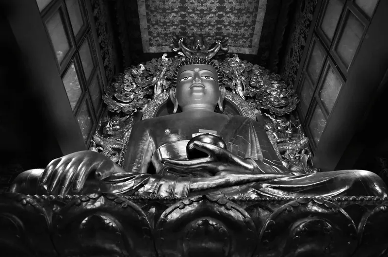 Image Sikkim - Land of Monasteries image beautiful image beautiful image beautiful image beautiful image beautiful image beautiful image beautiful image beautiful - Sikkim in B & W- Huge Buddha statue inside new Ralong Mona… | Flickr