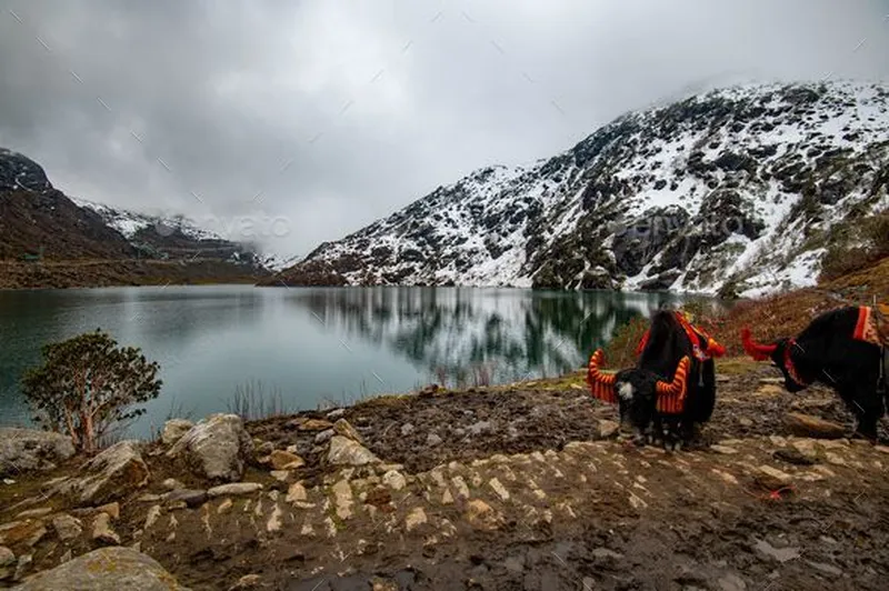 Image Sikkim - Tsomgo Lake image beautiful - Beautiful view of the Tsomgo Lake in Sikkim, India on a gloomy day ...