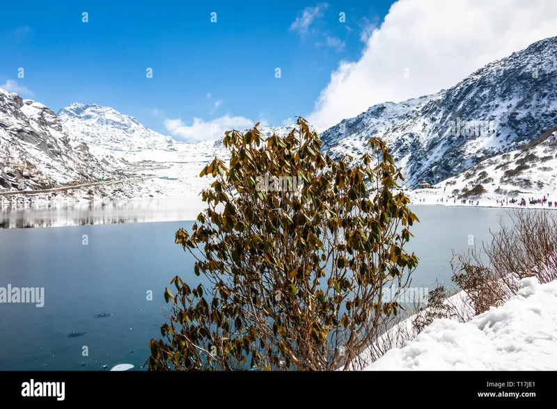 Image Sikkim - Tsomgo Lake image beautiful image beautiful image beautiful - Tsomgo ( Changu ) lake going to frozen, this beautiful Himalayan ...