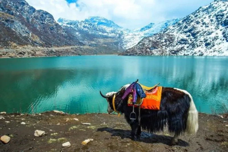 Image Sikkim - Tsomgo Lake image beautiful image beautiful image beautiful image beautiful image beautiful image beautiful image beautiful - North East – the Land of Undulating Scenic Beauty - HubPages