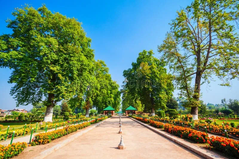 Image Srinagar - City of Gardens image beautiful - 182 Nishat Garden Stock Photos - Free & Royalty-Free Stock Photos ...