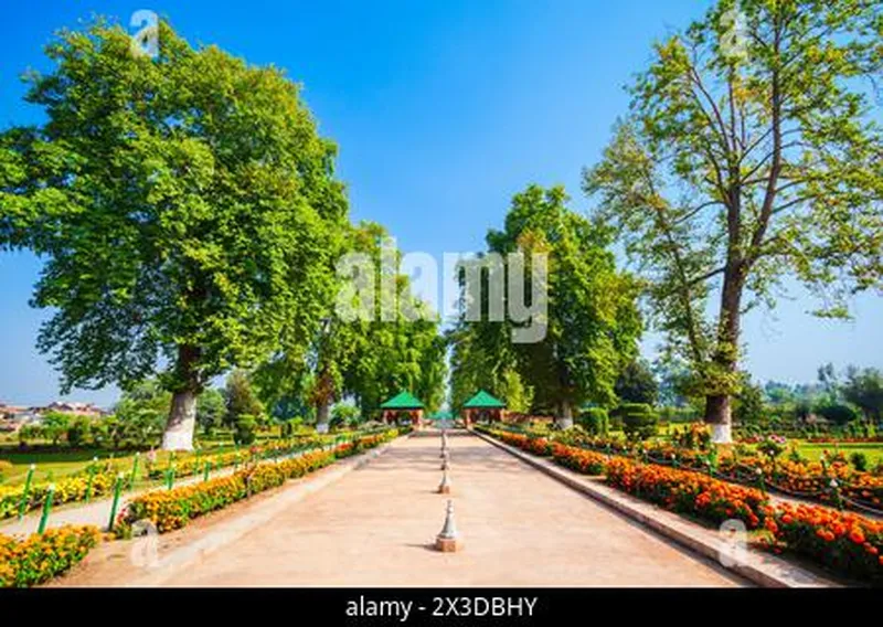 Image Srinagar - City of Gardens image beautiful image beautiful - Beauty garden in Srinagar city, Jammu and Kashmir state of India ...