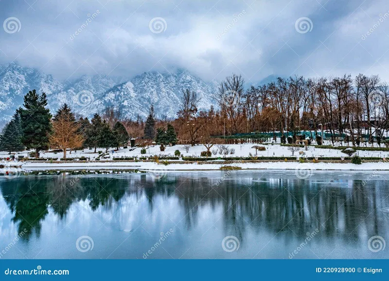 Image Srinagar - City of Gardens image beautiful image beautiful - A View of Botanical Garden with Lake in Winter Season, Srinagar ...