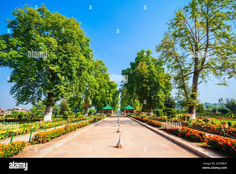 Image Srinagar - City of Gardens image beautiful image beautiful - Beauty garden in Srinagar city, Jammu and Kashmir state of India ...