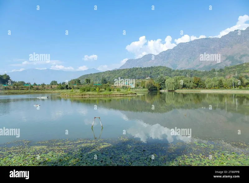 Image Srinagar - City of Gardens image beautiful image beautiful image beautiful - Kashmir scenery hi-res stock photography and images - Alamy