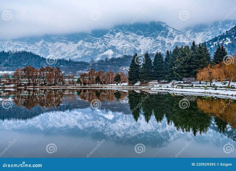 Image Srinagar - City of Gardens image beautiful image beautiful image beautiful image beautiful - A View of Botanical Garden with Lake in Winter Season, Srinagar ...