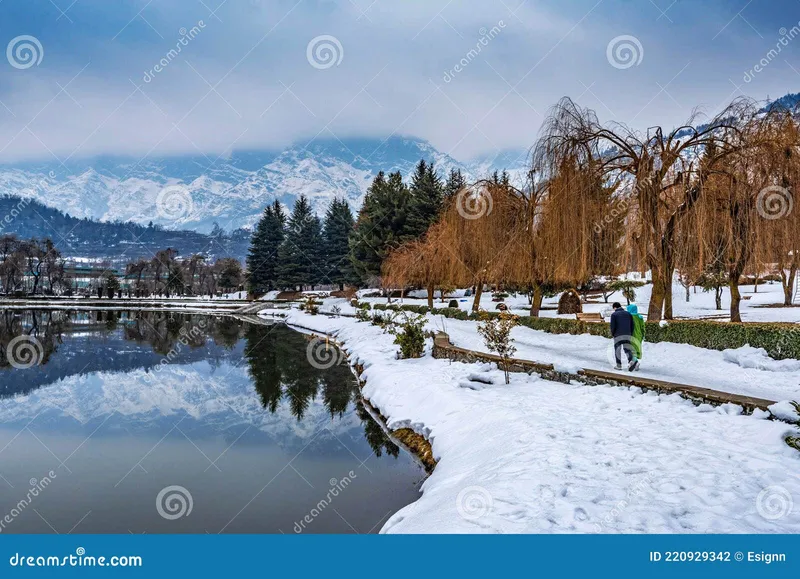 Image Srinagar - City of Gardens image beautiful image beautiful image beautiful image beautiful image beautiful - A View of Botanical Garden with Lake in Winter Season, Srinagar ...