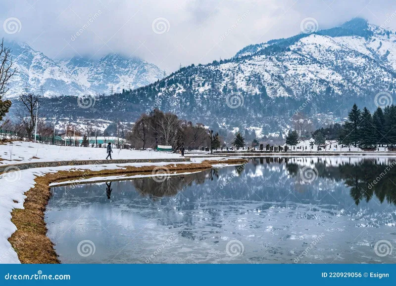 Image Srinagar - City of Gardens image beautiful image beautiful image beautiful image beautiful image beautiful - A View of Botanical Garden with Lake in Winter Season, Srinagar ...