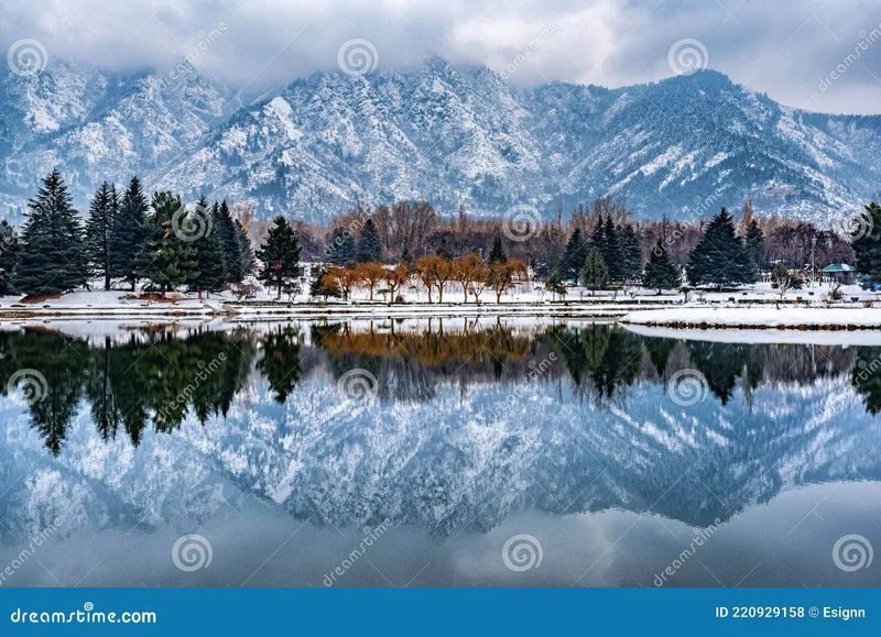 Image Srinagar - City of Gardens image beautiful image beautiful image beautiful image beautiful image beautiful - A View of Botanical Garden with Lake in Winter Season, Srinagar ...