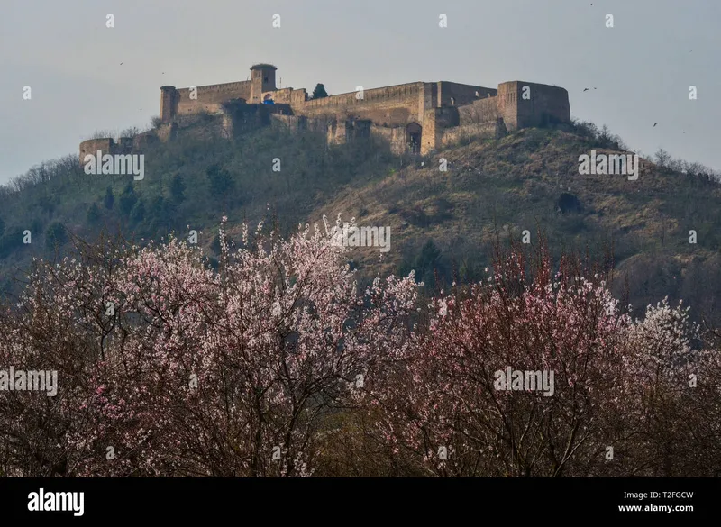 Image Srinagar - City of Gardens image beautiful image beautiful image beautiful image beautiful image beautiful - March 31, 2019 - Visitors enjoy the beauty and calm of the ...