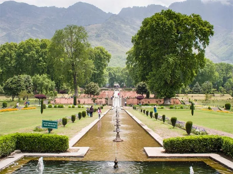 Image Srinagar - City of Gardens image beautiful image beautiful image beautiful image beautiful image beautiful image beautiful image beautiful image beautiful - Visit These 6 Beautiful Botanical Gardens Of India - Nativeplanet