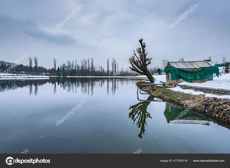 Image Srinagar - City of Gardens image beautiful image beautiful image beautiful image beautiful image beautiful image beautiful image beautiful image beautiful image beautiful - View Botanical Garden Lake Winter Season Beautiful Mountain Range ...