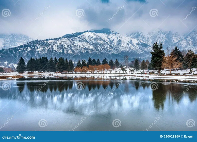 Image Srinagar - City of Gardens image beautiful image beautiful image beautiful image beautiful image beautiful image beautiful image beautiful image beautiful image beautiful - A View of Botanical Garden with Lake in Winter Season, Srinagar ...