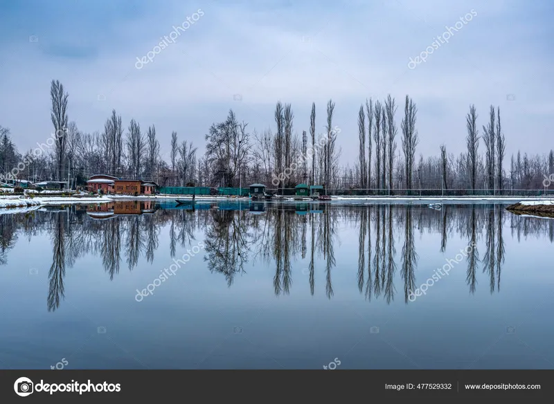 Image Srinagar - City of Gardens image beautiful image beautiful image beautiful image beautiful image beautiful image beautiful image beautiful image beautiful image beautiful - View Botanical Garden Lake Winter Season Beautiful Mountain Range ...