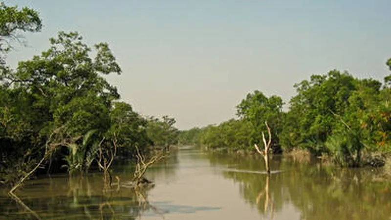 Image Sundarbans - Mangrove Forest image beautiful - The Sundarbans - UNESCO World Heritage Centre