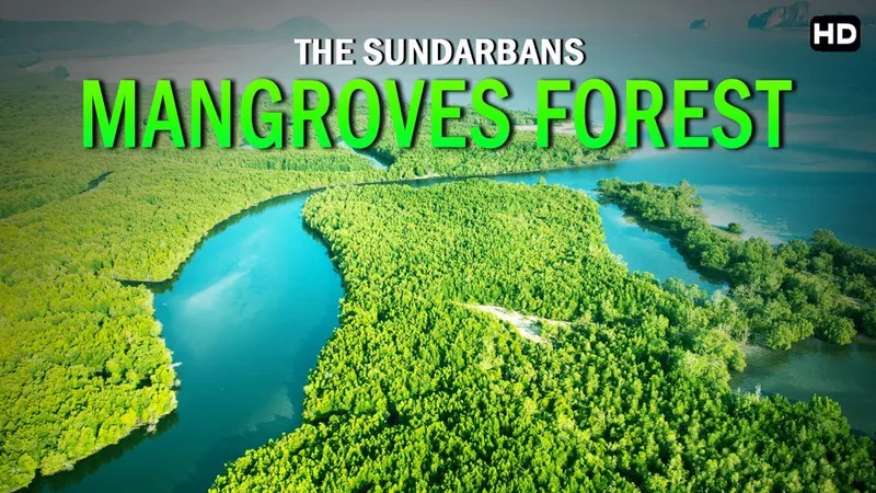 Image Sundarbans - Mangrove Forest image beautiful - ये जंगल हे इसलिये आप जिंदा है | Sundarbans ...