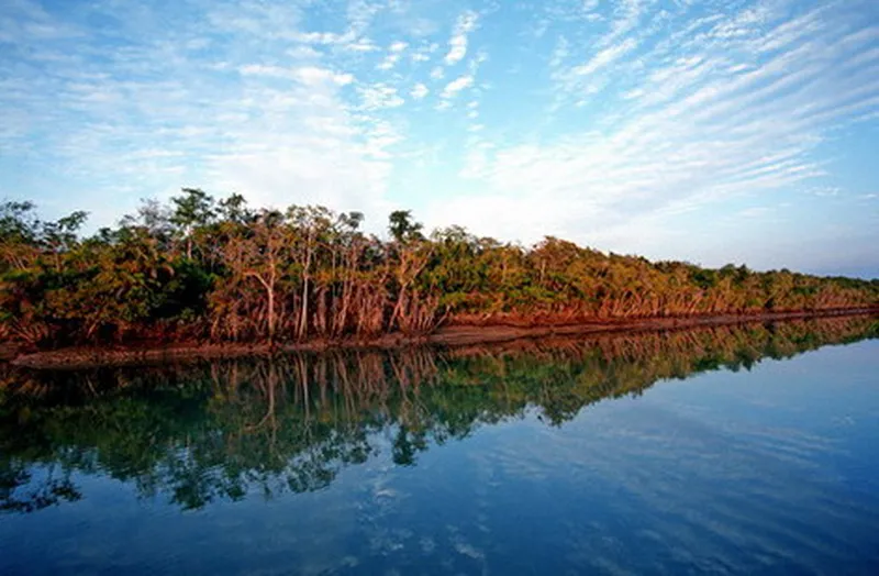 Image Sundarbans - Mangrove Forest image beautiful image beautiful - The Mangrove Forest of Bangladesh and India