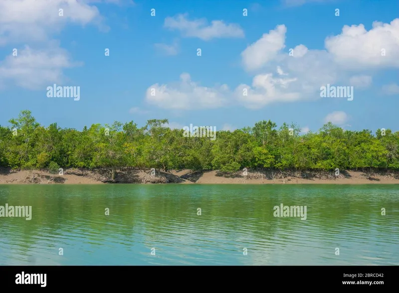 Image Sundarbans - Mangrove Forest image beautiful image beautiful image beautiful - Beautiful landscape of Sundarbans that shows a river and mangrove ...