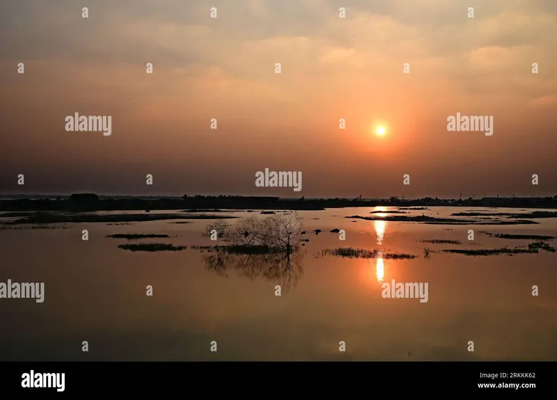 Image Sundarbans - Mangrove Forest image beautiful image beautiful image beautiful image beautiful image beautiful - The beautiful Sunset at Worlds largest Mangrove Forest in ...