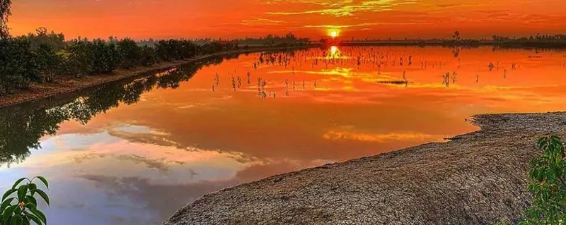 Image Sundarbans - Mangrove Forest image beautiful image beautiful image beautiful image beautiful image beautiful image beautiful - Some of the Most Beautiful Spots near Sundarbans National Park