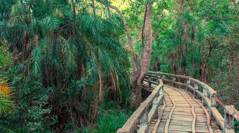 Image Sundarbans - Mangrove Forest image beautiful image beautiful image beautiful image beautiful image beautiful image beautiful - Natural Beauty in Sundarban | The Sundarbans is a mangrove a… | Flickr