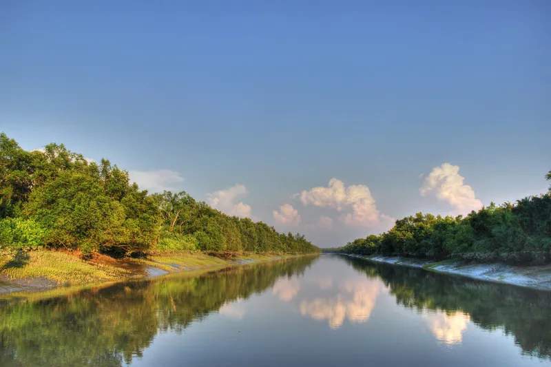 Image Sundarbans - Mangrove Forest image beautiful image beautiful image beautiful image beautiful image beautiful image beautiful - Beauty of Sundarban (largest mangrove of the world) | Flickr