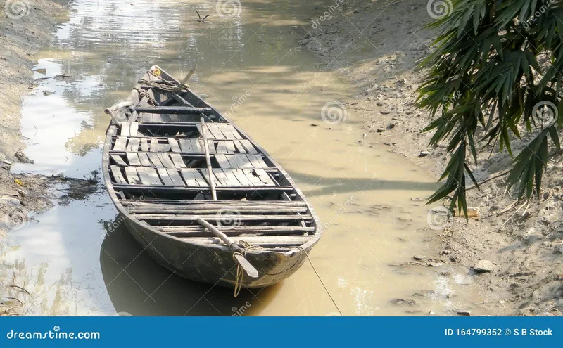 Image Sundarbans - Mangrove Forest image beautiful image beautiful image beautiful image beautiful image beautiful image beautiful image beautiful - The Old Wooden Canal Boat Floating Over Saltwater Water Canal of ...